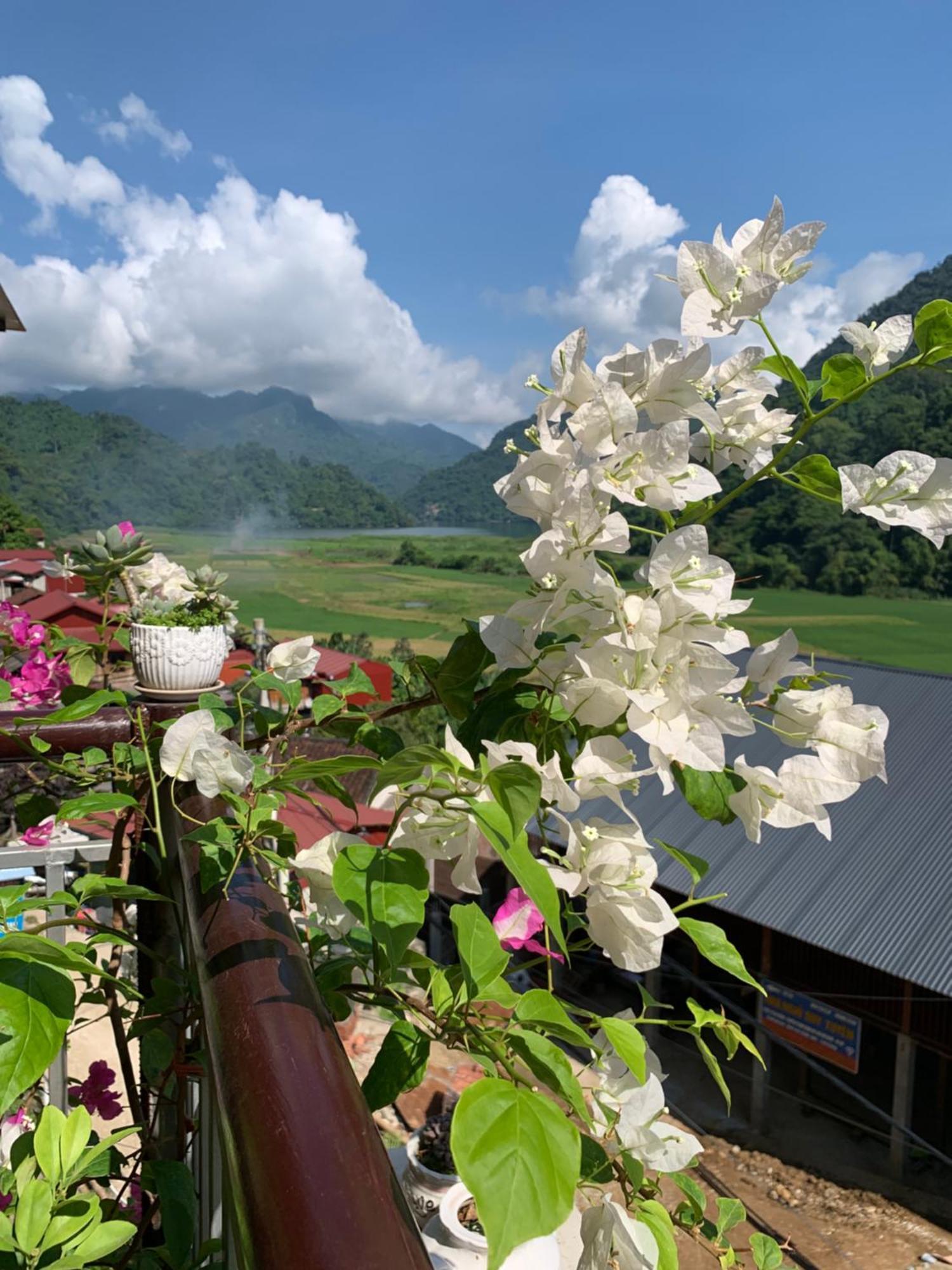 Hoàng Nguyên Homestay Ba Be Ngoại thất bức ảnh